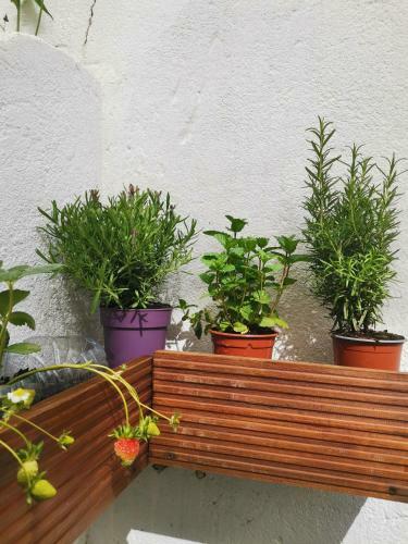 Apartamento The Garden House - Great Lisbon