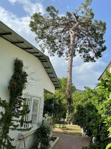 Portakal Bah�esi ?�erisinde M�stakil Villa