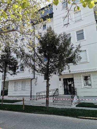 Apartamento Dreams