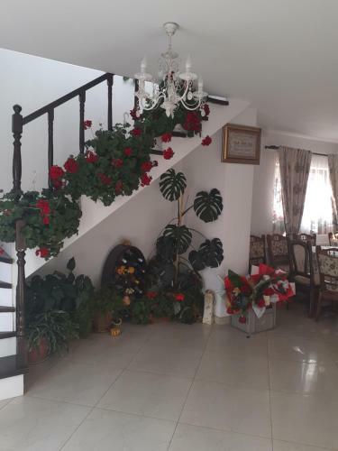 Hostal Casa Bozai
