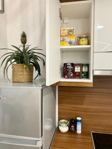 Apartamento Artsy Central Loft