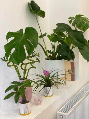 Apartamento Artsy Central Loft