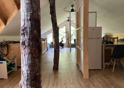 La Colmena Eco Lodge