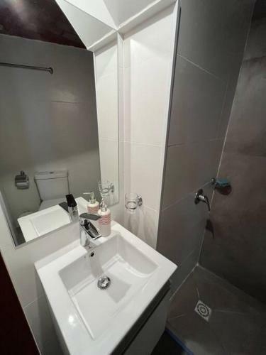 Agradable Y Bien Ubicado Duplex En Punta Carretas