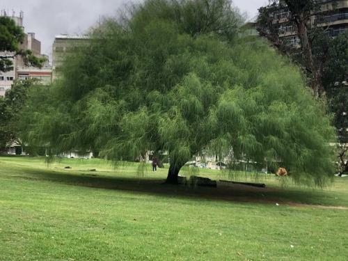 Apartamento En El Mejor Barrio, Pet Friendly!