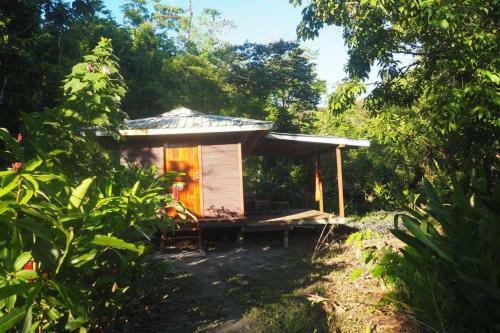 Hostal Room In Lodge - Comfortable Jungalow - Breakfast Incl