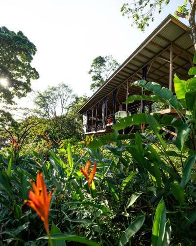 Hostal Room In Lodge - Comfortable Jungalow - Breakfast Incl