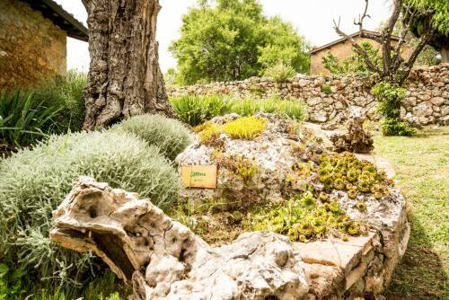 Agroturismo Agriturismo Il Caggio