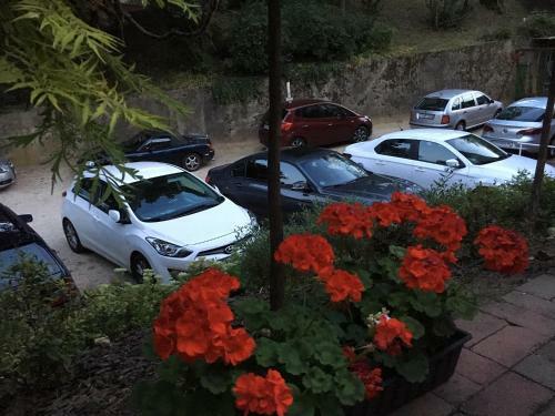 Hostal Kiss Villa