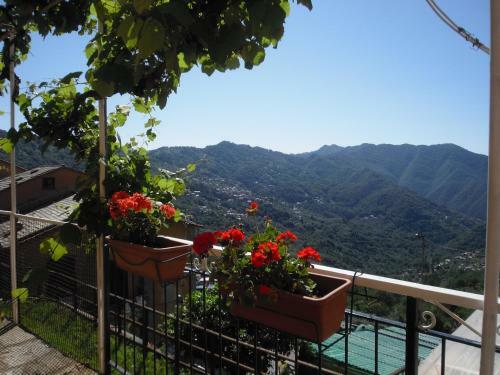Hotel Albergo Caprile