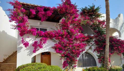 Apartamento Collemare - Domina Coral Bay