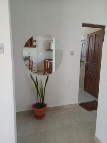 Apartamento One Bedroom Suite