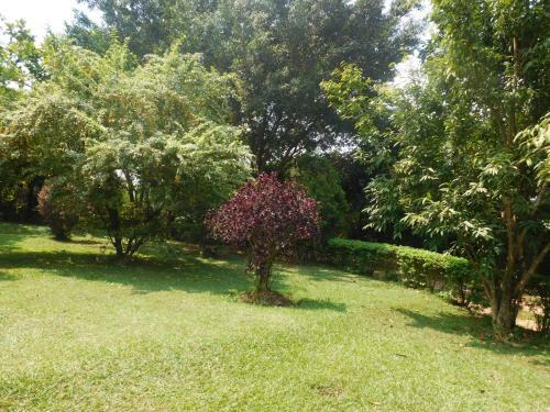 Captivating 2-bed Cottage In Kampala