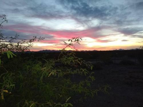 Desert Gem