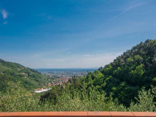 Apartment Viola Pescia