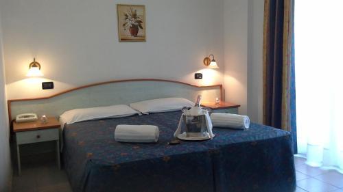 Park Hotel Oasi