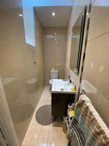 Charming 3 Bedroom Home In Central Dublin With A Garden
