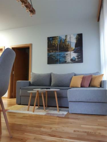 Apartman Andrejic
