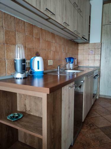 Belgrade Apartment Vera