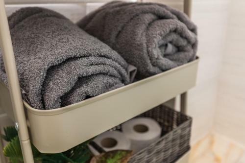 Jungle Apartment 15 Min Walk To Beach & Downtown