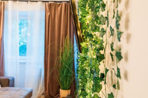 Jungle Apartment 15 Min Walk To Beach & Downtown