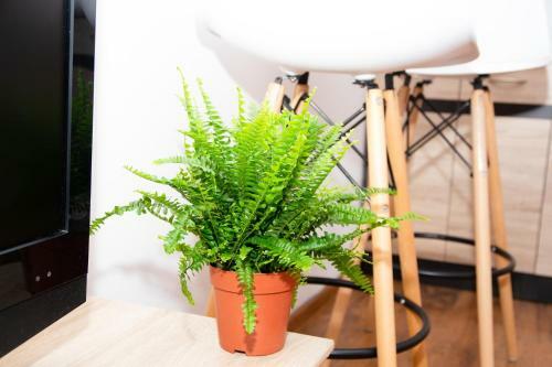 Apartamento Cosy Studio In Nove Zamky