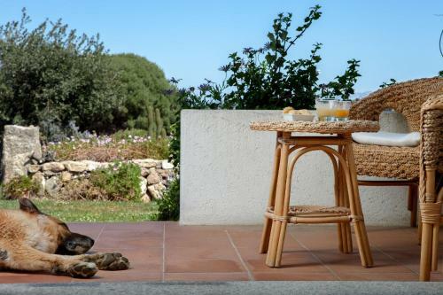 Agroturismo Agriturismo Nuraghe Tuttusoni