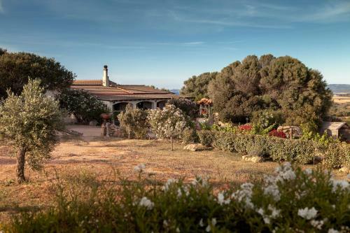 Agroturismo Agriturismo Nuraghe Tuttusoni
