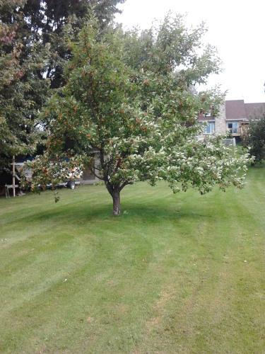 Apartamento Appartement Bellevue