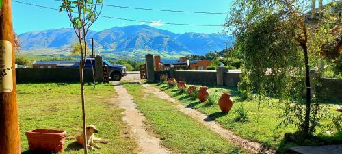 Caba�as Arroyo Morales