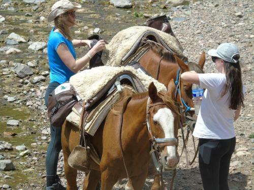 Agroturismo Base Manzano
