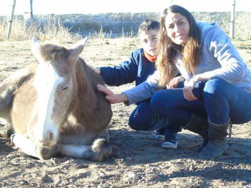 Agroturismo Base Manzano
