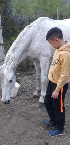 Agroturismo Base Manzano