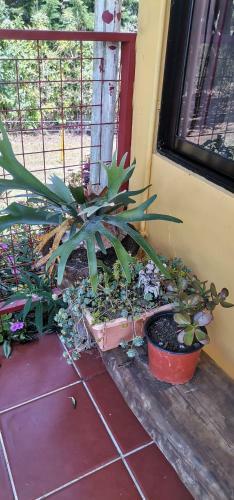 Casita De Lore