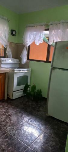 Jungle House