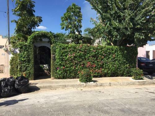 La Casa Inteligente Del Jard�n. Garden Smart Home