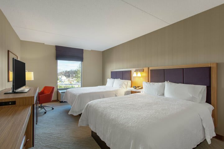 Hotel Hampton Inn & Suites Albany-airport