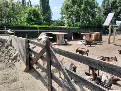 Chalet An Der K�ste 129