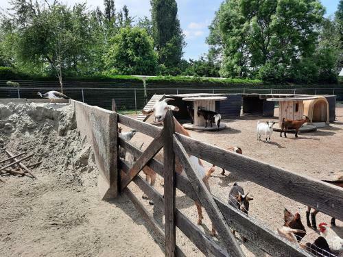 Chalet An Der K�ste 129