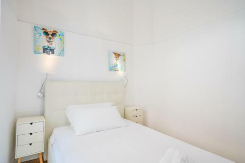 Apartamento Le Scale Sul Porto . Marina Centro Storico. AC