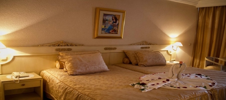 Hotel Amir Palace
