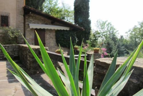B&B Il Borghetto