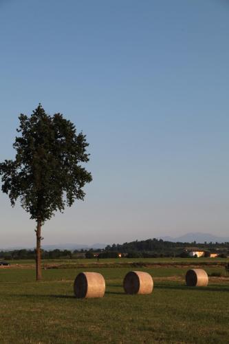 Bed & Breakfast Il Forno Dal 1922