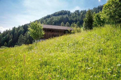 Apartamento Nestlhof