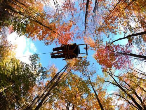 Cabin Sutton 252 - En Harmonie Avec La Nature!