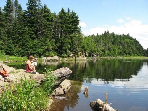 Cabin Sutton 252 - En Harmonie Avec La Nature!