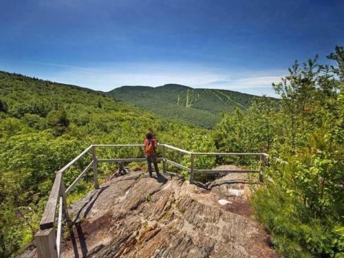 Cabin Sutton 252 - En Harmonie Avec La Nature!