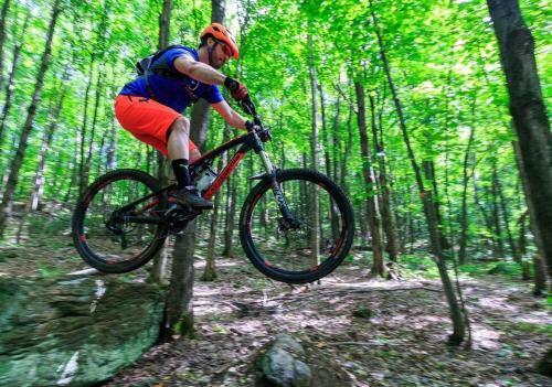Cabin Sutton 252 - En Harmonie Avec La Nature!