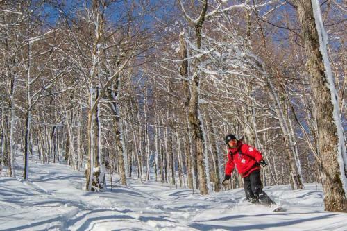 Cabin Sutton 252 - En Harmonie Avec La Nature!