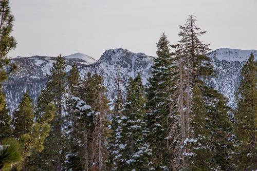 #467- Golf Course Condo Near Ski Resort, Mountain Views